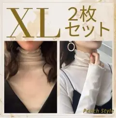 大きいサイズ　シアートップス　２枚　スキントップス　メッシュ　タートル　メロウ