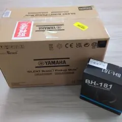 Item thumbnail for item 29a85357-e07a-4c02-9937-cc90d31d5fc5