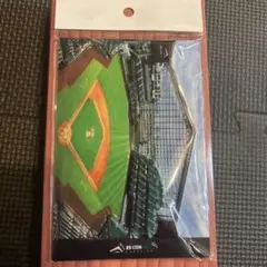 ES CON FIELD HOKKAIDO 記念グッズ