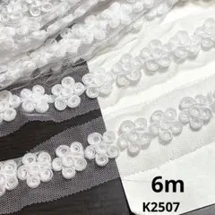デザインレース6m