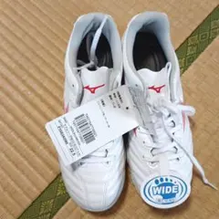 ミズノ　モナルシーダNEO3 新品　トレーニングシューズ　サッカー　22.5