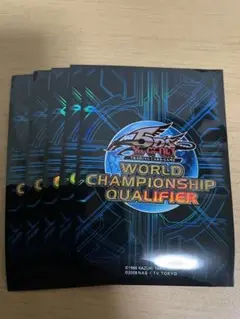 2025年最新】wcq スリーブ 2010の人気アイテム - メルカリ