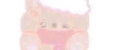 専用 5点