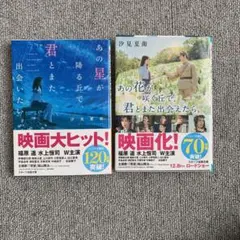 あの星が降る丘で 君とまた出会いたい　汐見夏衛　2冊セット