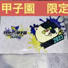 【スプラトゥーン甲子園2023】参加賞 ピンバッジ スプラトゥーン甲子園2023 ピンバッジ - メルカリ