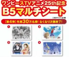 ワンピース TVアニメ 25th B5マルチシート