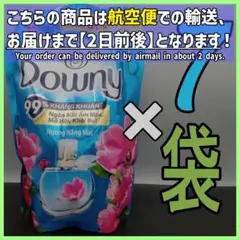 Item thumbnail for item e259935f-6624-4abc-93d2-381c8bdc9b23