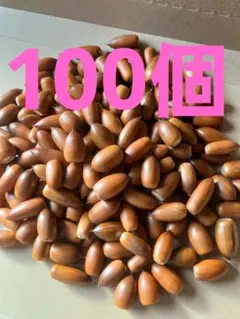 Item thumbnail for item ca806fc9-1716-4f11-8f46-a7c891c68ec6