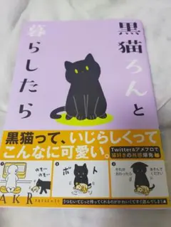 黒猫ろんと暮らしたら