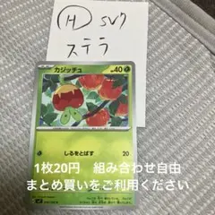 カジッチュ　在庫3 ステラ
