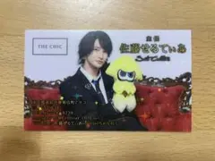 【匿名配送】佐藤せるてぃあ 名刺