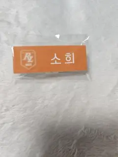 SMTOWN POPUP ネームバッジ ソヒ