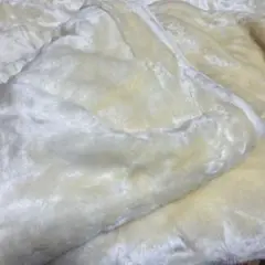 Item thumbnail for item b3ecbd10-bf1e-4475-88b1-276901794179