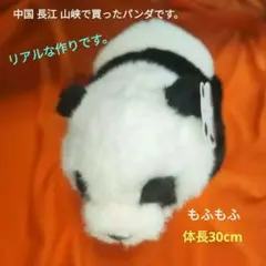 パンダ ぬいぐるみ 30cm（送料無料）