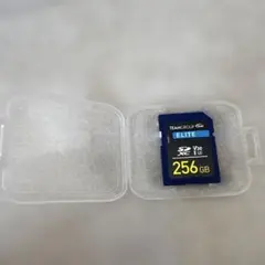 TEAMGROUP ELITE SDXC 256GB UHS-I U3