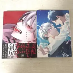 BL漫画　2冊まとめ売り