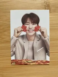 seventeen hoshi ホシ トレカ