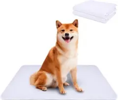 Item thumbnail for item 951f1a92-721a-4975-97db-c7495bf39ef0