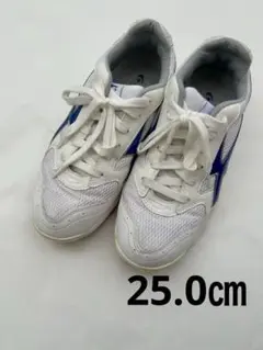 ムーンスター GYMSTAR 25.0㎝EE 体育館シューズ