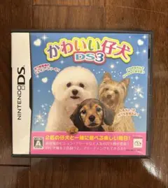 かわいい仔犬 DS3