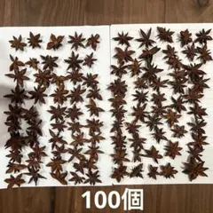 スターアニス　100個　八角　木の実