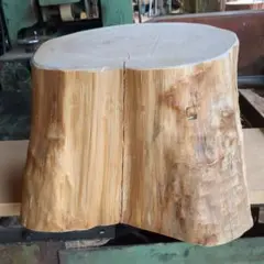 Item thumbnail for item d82f1a56-bda2-4c77-8a44-212e5d538abc