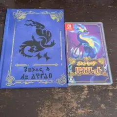 ポケットモンスター バイオレット パッケージ版