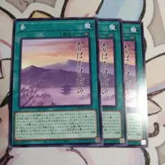 春　ノーマル　3枚セット