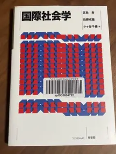 国際社会学　宮島・佐藤・小ヶ谷編【新品】