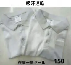 Item thumbnail for item 2505e185-f89e-48b9-a496-42b9c0a5608c