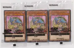 遊戯王 ハイチュウ ブラックマジシャンガール 711E ノーパラ 未開封 3枚