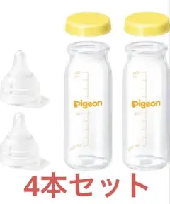 Item thumbnail for item 42712ec8-76da-45ed-881a-35c835592f52