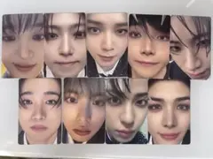 &TEAM 月狼 baby wolf ベイビーウルフ コンプリート