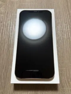 iPhone 12 Pro Max 256GB ゴールド