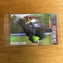 サラブレッドホースコレクション【フィエールマン】※サイン無し