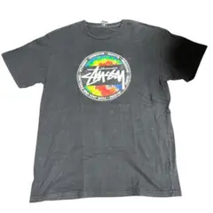 Stussy カラフルロゴ Tシャツ Lサイズ
