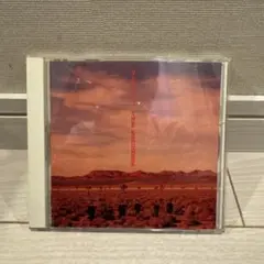 THE SQUARE/YES,NO.