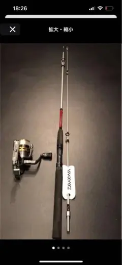 Daiwa ダイワ ロッド リールセット