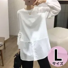 Item thumbnail for item 2a3ee474-055a-4039-a0cc-31a5f46c5d47