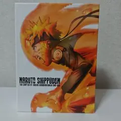 NARUTO SHIPPUDEN 守護忍十二士の章DVDBOXセット
