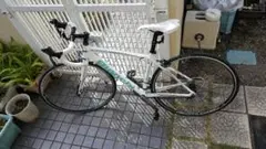 Bianchi ビアンキ