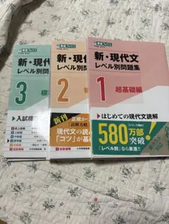 【セット】(バラ可)新・現代文レベル別問題集①超基礎編/②初級編/③標準編