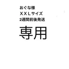 専用ページ