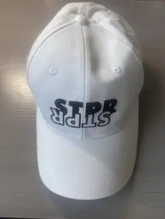 Item thumbnail for item 05563131-2c21-40b0-8a20-bb06142ff4c1