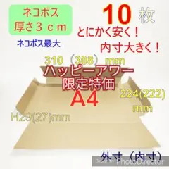 発送用　ネコポス最大サイズA4ダンボール箱　ラッピング包装　3cm対応