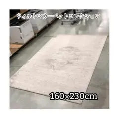 A641♠️ウィルトンカーペットコレクション 160×230cm