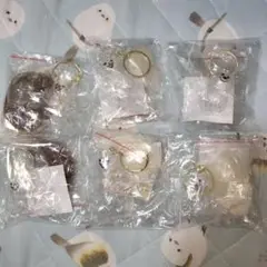 いつもわんちゃんと一緒！　おでかけ毛入れキーホルダー