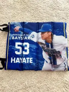 横浜DeNAベイスターズ HAYATE クッション 53