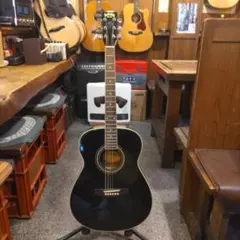 Stafford SF-250D (管理ヒワ) Stafford SF-250D (管理ヒワ) 楽器・機材