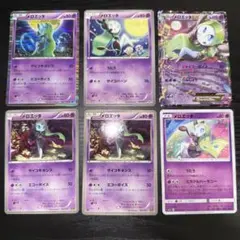 メロエッタ　まとめ売り